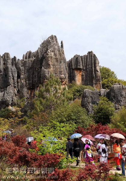 彝鄉風情醉游人