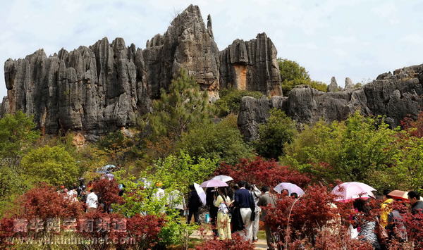 彝鄉(xiāng)風(fēng)情醉游人