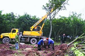重慶人大代表無償捐65畝開發地 價值2億元