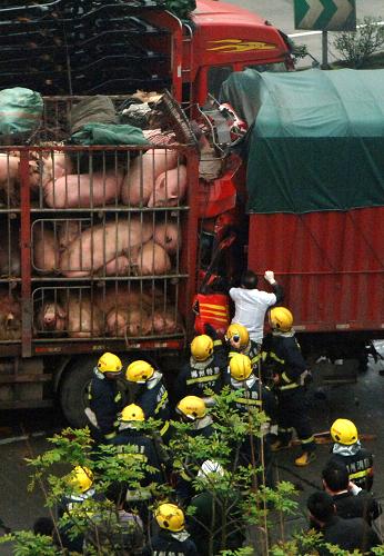 京珠高速郴州段發生7車連環相撞事故