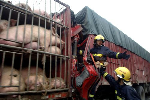 京珠高速郴州段發生7車連環相撞事故