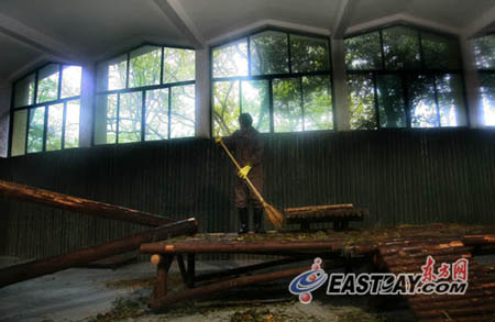 來滬3個月世博熊貓均增肥 30萬游客目睹國寶風采