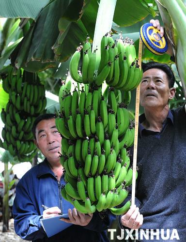 天津推廣新型物理農業技術