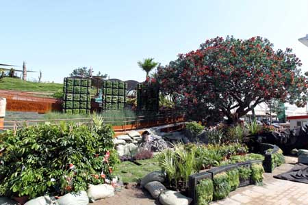 上海世博會(huì)園區(qū)各項(xiàng)建設(shè)進(jìn)入尾聲[組圖]