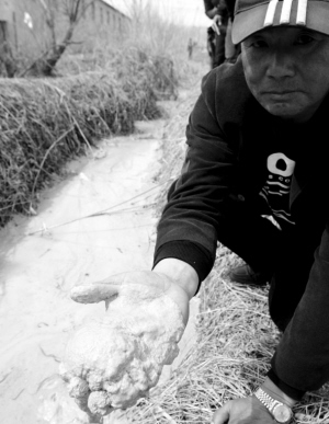 “復活”的造紙廠 尋遼中珍珠湖現大量死魚真相