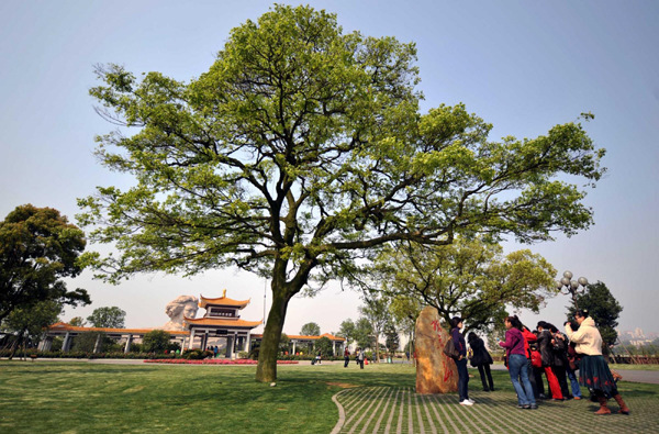 長沙橘子洲打造“生態(tài)島”