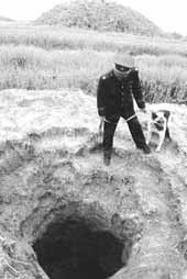 公安機關打擊盜墓犯罪尚顯被動 現場抓捕難