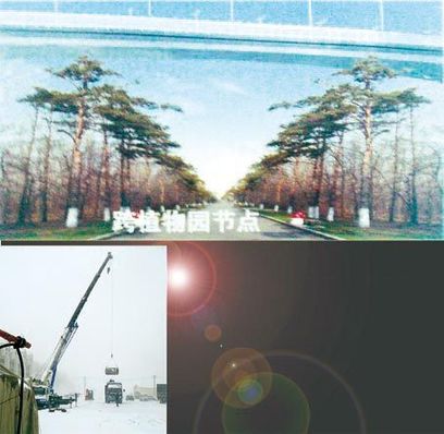 哈爾濱無視省級法律 強建高架橋跨越植物園