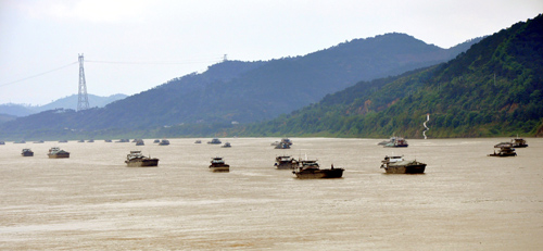西江水位上漲 貨運船只增多