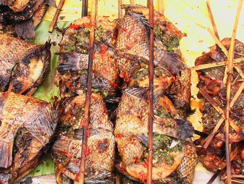 西雙版納熱帶植物園內的歡樂傣族年