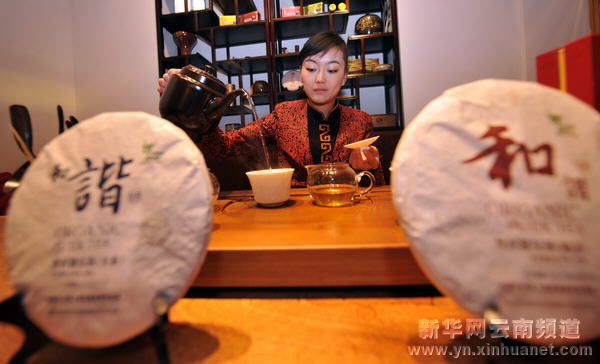 世博園里看茶藝