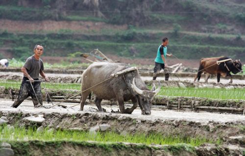 旱區處處忙春耕