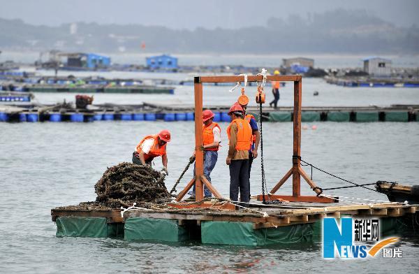 深圳拆除耗資近億元的違章建筑“海上皇宮”