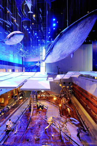 廣東省博物館新館5月18日正式開放