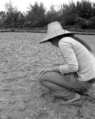 廣東最窮村落后全國30年 三百人學校無廁所(圖)