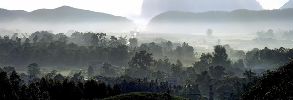 雨季田園如仙境