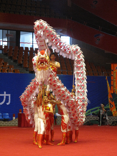 四體會舞龍比賽 英姿颯爽顯龍威-廣東失利 江蘇奪魁