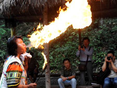 西雙版納旅游業穩步增長