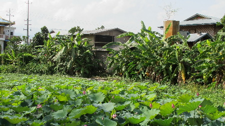 云南瑞麗邊境:一秋千蕩兩國