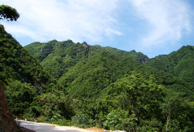 河南西峽：天然氧吧老君洞 風景秀麗野人谷(圖)