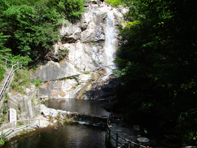 河南西峽：天然氧吧老君洞 風景秀麗野人谷(圖)