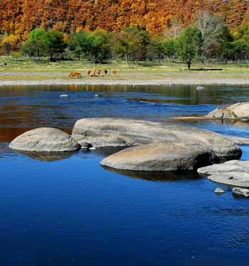 首屆中國•黑龍江鶴崗國際界江旅游節即將隆重開幕