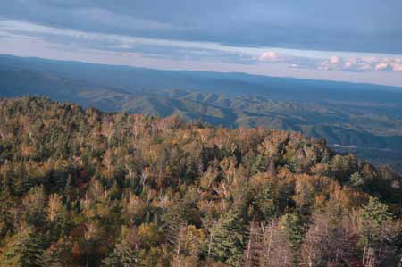 首屆中國•黑龍江鶴崗國際界江旅游節即將隆重開幕