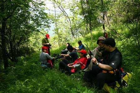 端午小長假助推神農架旅游熱潮