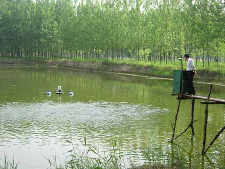 民權(quán)縣王橋鄉(xiāng)：新思路帶動(dòng)經(jīng)濟(jì)整體“快跑”