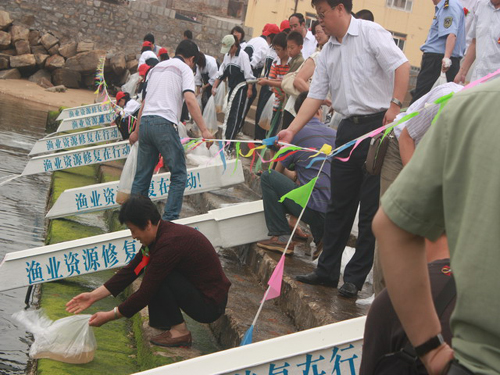 山東省實施大規模海洋增資放流修復漁業資源