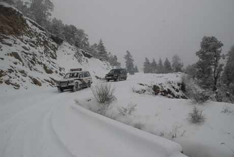 為了高原藏區(qū)的和諧安寧——云南迪慶藏族自治州中級人民法院工作紀實