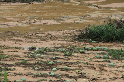 福建降水過(guò)程明顯減弱 地質(zhì)災(zāi)害累計(jì)6891仍處于危險(xiǎn)期