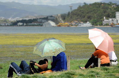 大理建設(shè)萬畝生態(tài)濕地保護洱海水質(zhì)