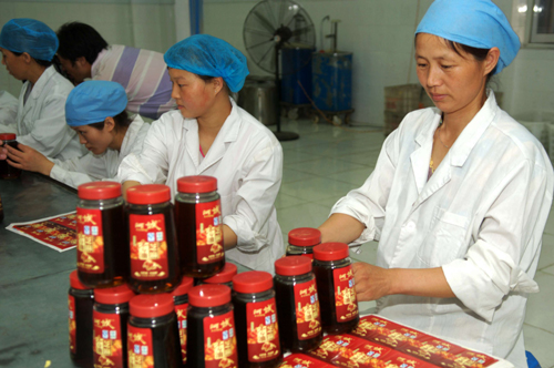 探尋河南平輿科學發展的“平輿經驗”