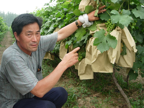 河南永城一村支書帶領村民大干七年走上富裕路