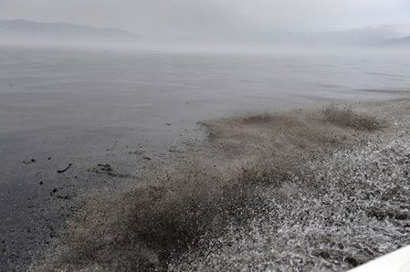 大連輸油管線爆炸至少50平方公里海面污染