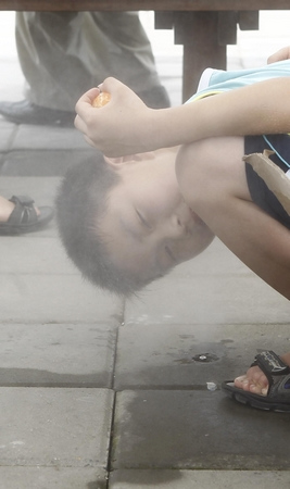 上海世博局將向游客免費發放2500萬把扇子(圖)