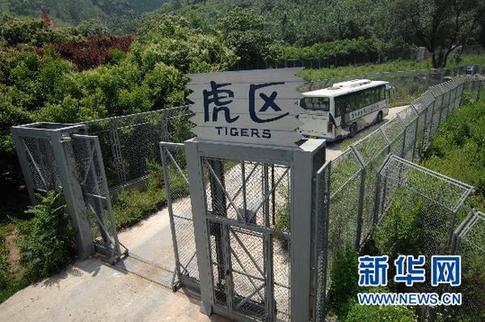 西安動物園老虎咬死游客事件猛獸區管理員被批捕