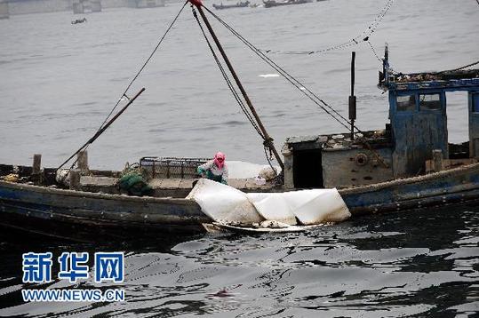 大連組織500余艘漁船出海清污