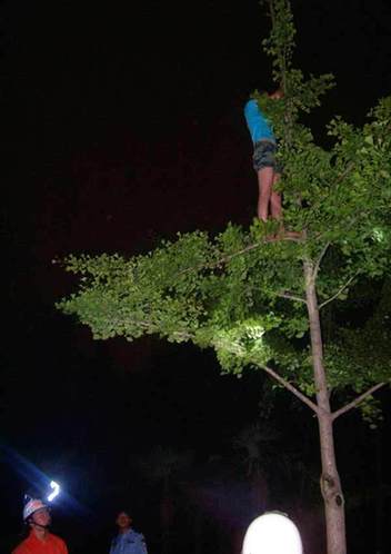 河南漯河：妙齡女感情受困 站樹上輕生終獲救