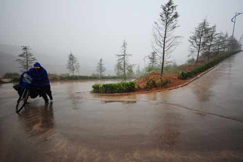 中國面孔：鄉(xiāng)村路上快樂的綠色自行車