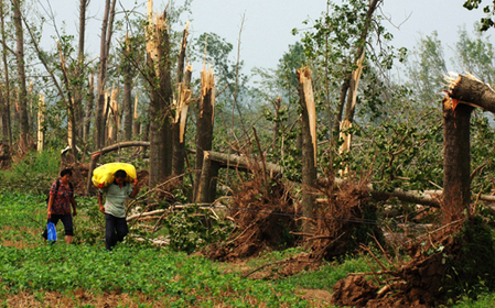 商丘市采取有效措施全力抗災救災