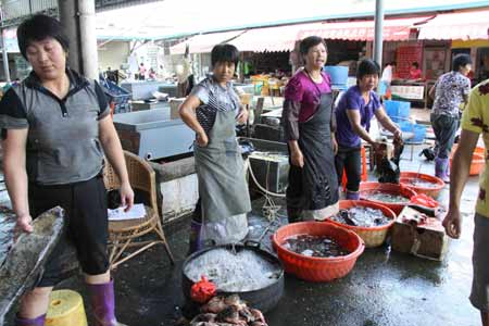 紫金污水泄漏重創當地漁業（組圖）