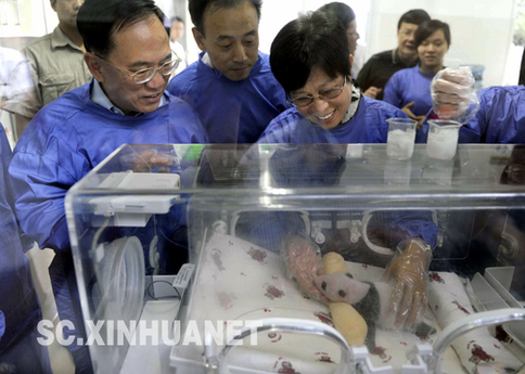 曾蔭權率香港特區政府代表團抵達四川考察