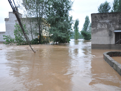 河南淅川：近三十萬受災(zāi)群眾已被妥善安置