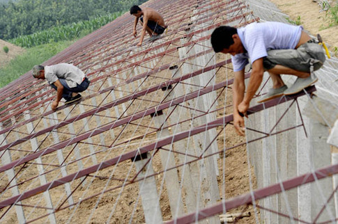 山西啟動(dòng)百萬畝設(shè)施蔬菜計(jì)劃