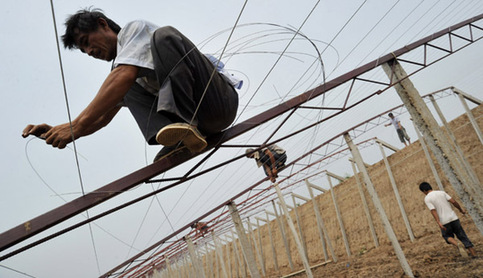 山西啟動百萬畝設施蔬菜計劃