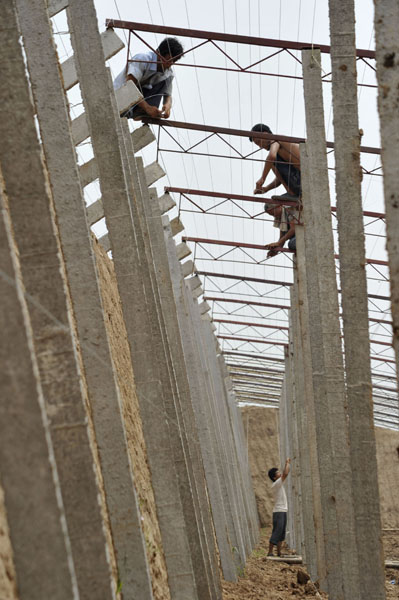山西啟動百萬畝設(shè)施蔬菜計劃
