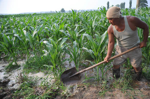 山西運城：農民高溫抗旱忙