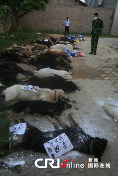 29只警犬服驅(qū)蟲(chóng)藥后死亡